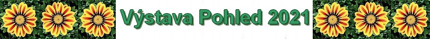 vystava-pohled-2021.jpg